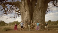 Young family with baobab tree in Zimbabwe